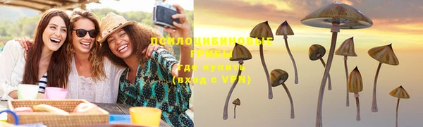 apvp Алексеевка