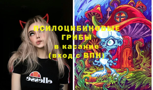 apvp Алексеевка