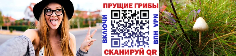 Галлюциногенные грибы мухоморы  OMG ТОР  Полярные Зори  купить  цена 