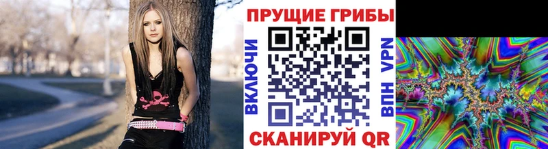 Галлюциногенные грибы мицелий Полярные Зори